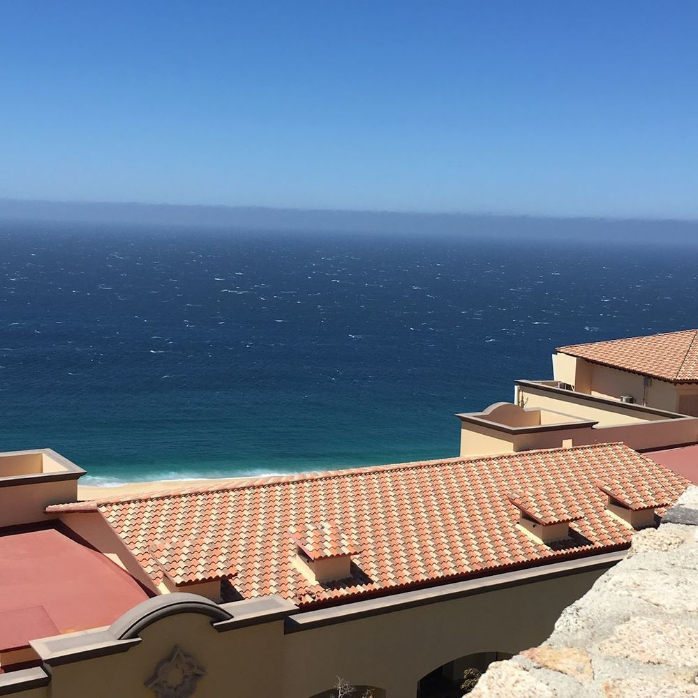 Meet your Posher, Suri